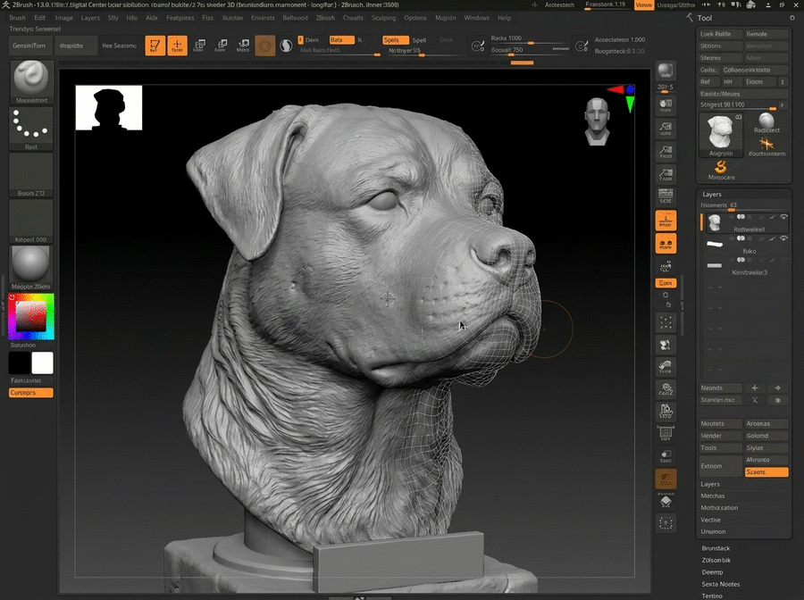 3D modelling of a dog head from photos